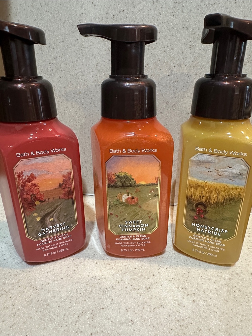 Bath & Body Works foaming hand soap Fall 2026 bundle of 3 nwt